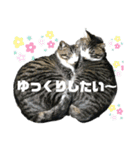 にゃんこ友達編2（個別スタンプ：8）