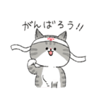 [気持ちを伝える]うちの3ねこたち（個別スタンプ：24）