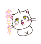 好きの気持ち＋ネコ＋男の子【ホワイト】（個別スタンプ：33）