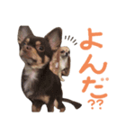 むぎころよん（個別スタンプ：9）
