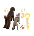 むぎころよん（個別スタンプ：12）