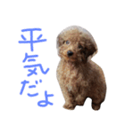 むぎころよん（個別スタンプ：13）