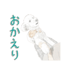 トイプー’sLife 2（個別スタンプ：12）