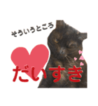 かぎさんと紫苑 3（個別スタンプ：1）