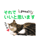 かぎさんと紫苑 3（個別スタンプ：6）