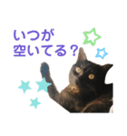 かぎさんと紫苑 3（個別スタンプ：10）