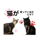 かぎさんと紫苑 3（個別スタンプ：12）