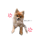 ここの気持ち！（個別スタンプ：2）