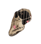 猫ちゃん(日常)（個別スタンプ：7）