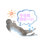 マシュマロくんいっぱい（個別スタンプ：2）