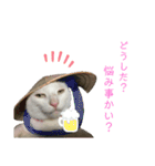 マシュマロくんいっぱい（個別スタンプ：11）