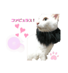マシュマロくんいっぱい（個別スタンプ：14）