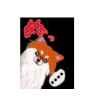 ポチャ犬☆フレンズ（個別スタンプ：16）