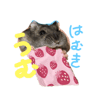 はむきのすたんぷ（個別スタンプ：2）