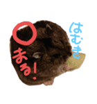 はむきのすたんぷ（個別スタンプ：8）