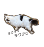 山名が作りました。（個別スタンプ：4）