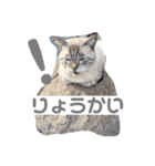 山名が作りました。（個別スタンプ：13）