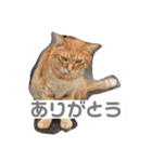山名が作りました。（個別スタンプ：14）