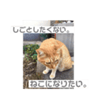 山名が作りました。（個別スタンプ：15）