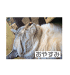 山名が作りました。（個別スタンプ：17）