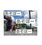 山名が作りました。（個別スタンプ：19）