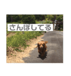 山名が作りました。（個別スタンプ：20）