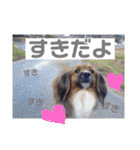 山名が作りました。（個別スタンプ：23）