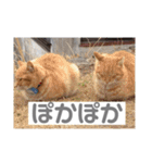 山名が作りました。（個別スタンプ：33）