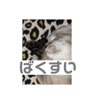 山名が作りました。（個別スタンプ：39）