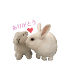 うさぎのおこめさん（個別スタンプ：5）