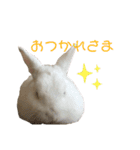 うさぎのおこめさん（個別スタンプ：10）