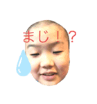 だーたんスタンプ（個別スタンプ：4）