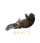 RobinTinaTerry2（個別スタンプ：6）