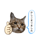 RobinTinaTerry2（個別スタンプ：9）