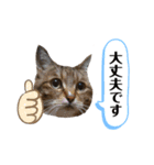 RobinTinaTerry2（個別スタンプ：10）