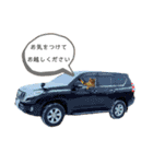 RobinTinaTerry2（個別スタンプ：11）