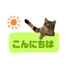 RobinTinaTerry2（個別スタンプ：15）