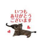 RobinTinaTerry2（個別スタンプ：17）