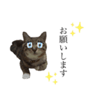 RobinTinaTerry2（個別スタンプ：22）
