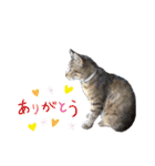 RobinTinaTerry2（個別スタンプ：23）