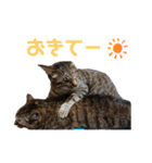 RobinTinaTerry2（個別スタンプ：24）
