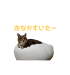 RobinTinaTerry2（個別スタンプ：25）