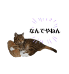 RobinTinaTerry2（個別スタンプ：29）