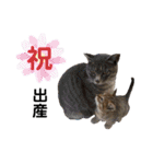 RobinTinaTerry2（個別スタンプ：32）