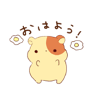 ゆるっともちっとハムスター（個別スタンプ：1）