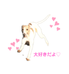 ウィペットのスタンプ♩（個別スタンプ：1）
