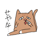 チャトラの猫（個別スタンプ：12）