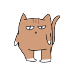 チャトラの猫（個別スタンプ：13）