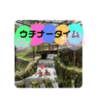 沖縄生まれのたかし君②（個別スタンプ：30）