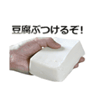 実写！豆腐（個別スタンプ：4）